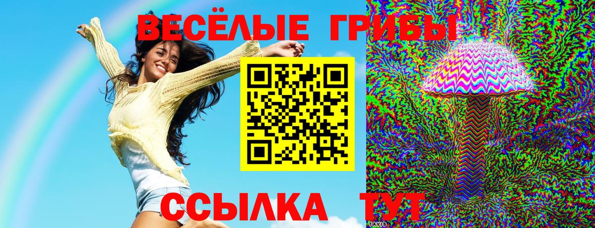 Псилоцибиновые грибы прущие грибы Тольятти